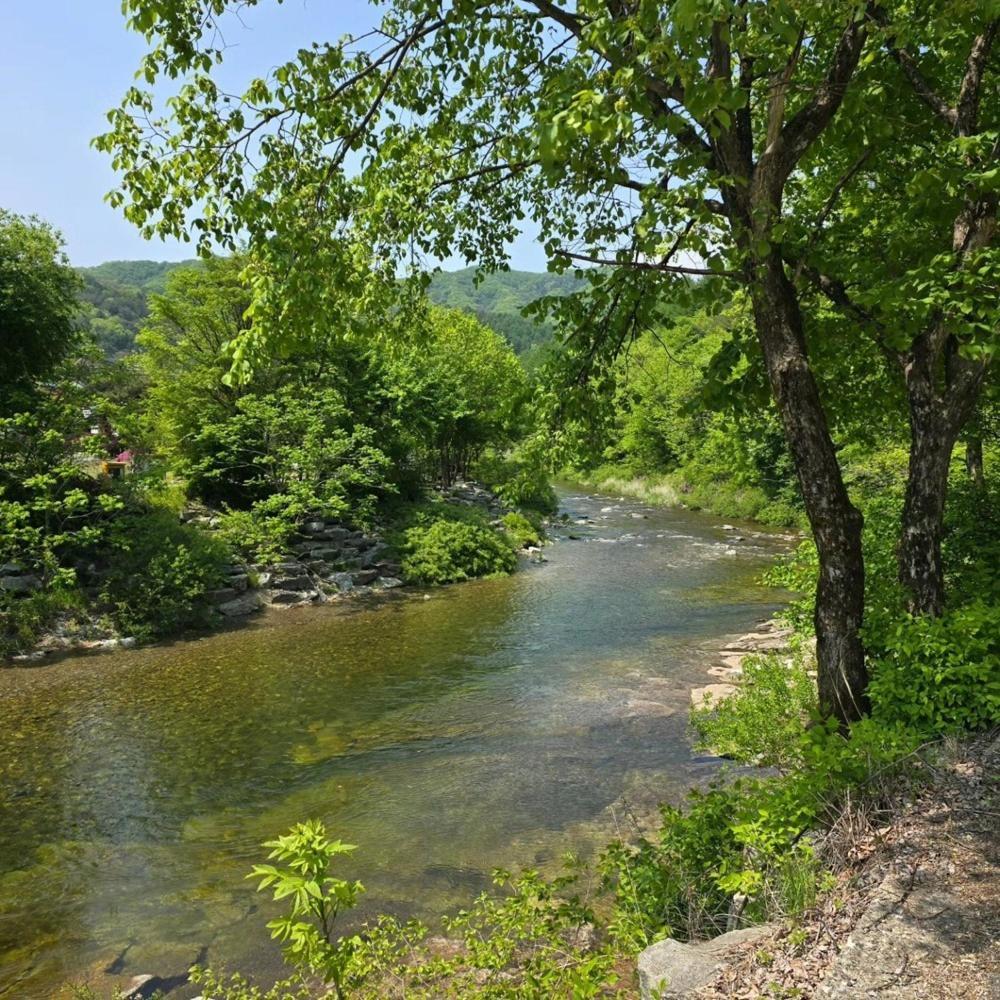 Pyeongchang Heungjeong Valley 409 Pension Exterior photo